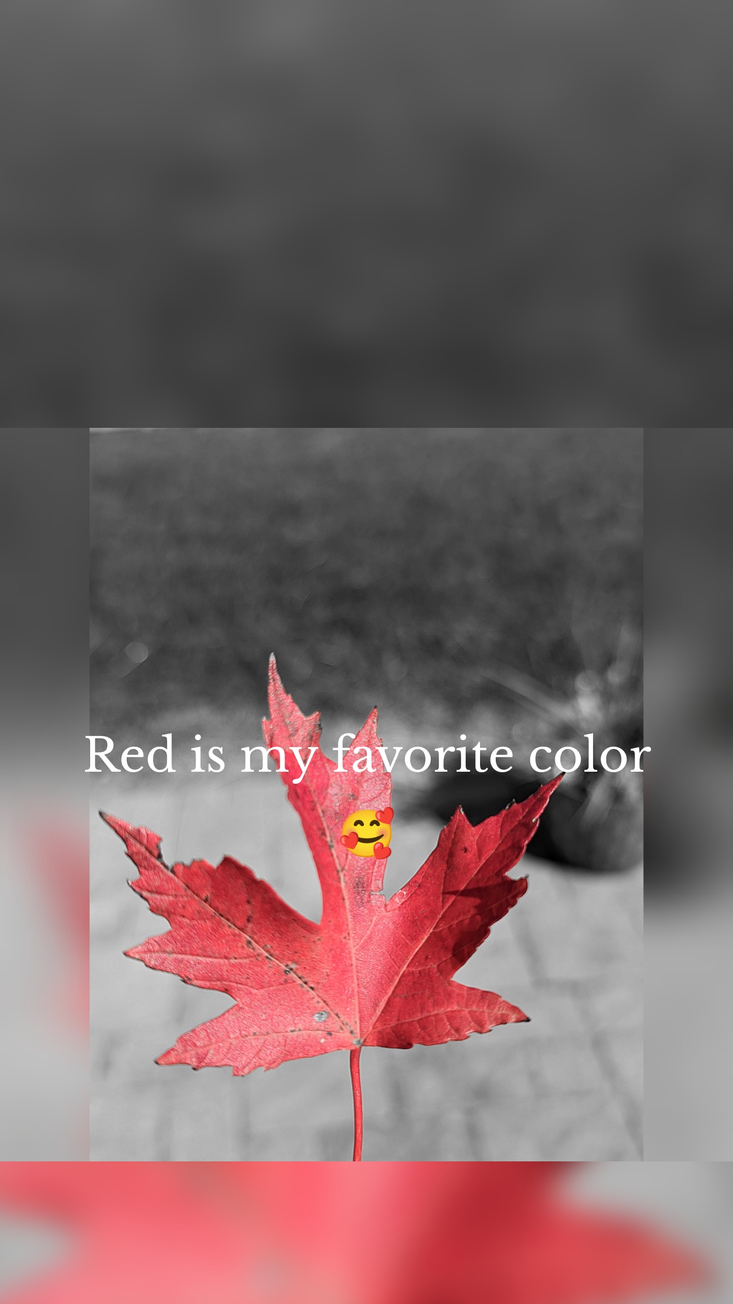 Red is my favorite color 🥰